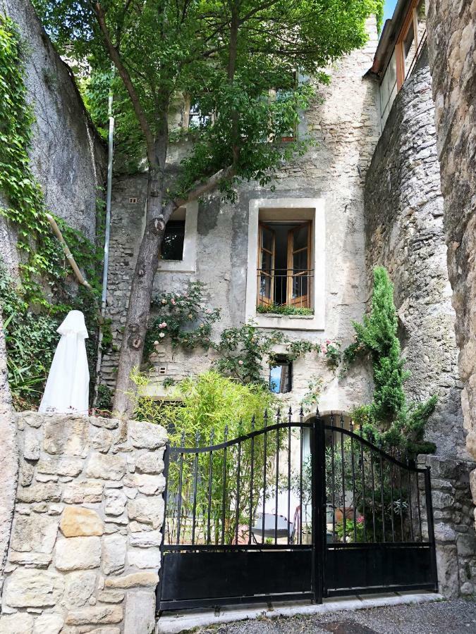 Villa Authentique Et Architecturale - Centre Ville Forcalquier Exteriör bild